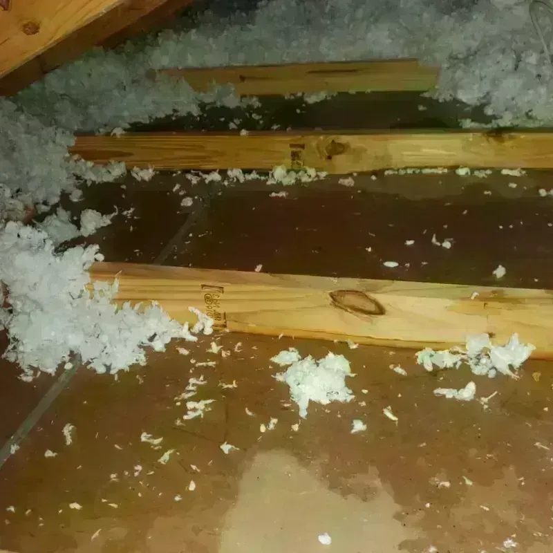 Attic Water Damage in Wilmot, NH